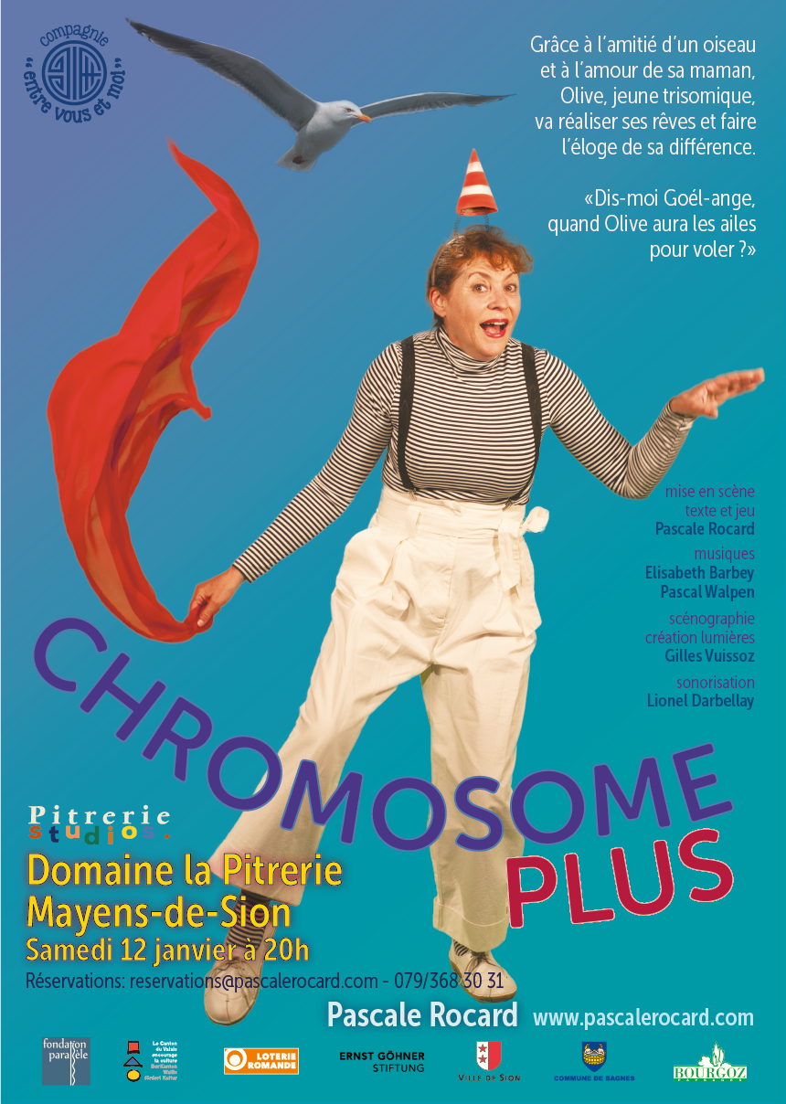 2019 Chromosomeplus Affiches Pitrerie